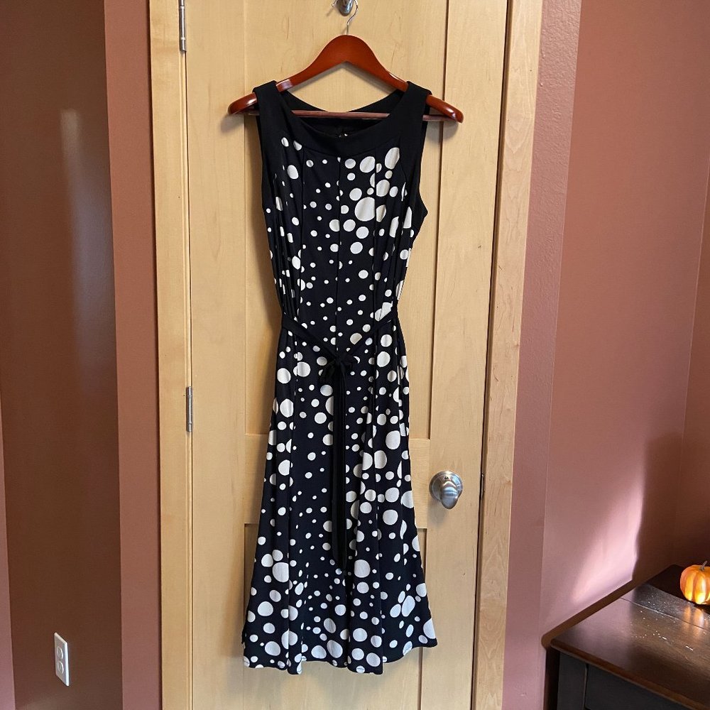 Sandra Darren Black and White Polka Dot Dress: Size 14W